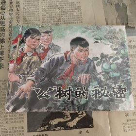 “公”树的秘密（原封全品，无黄斑磕碰）