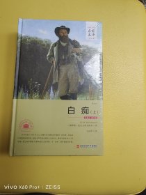 白痴上下 外国名著 陀思妥耶夫斯基文集 现代主义文学鼻祖俄国大文豪陀思妥耶夫斯基重要作品之一 长篇小说罪与罚卡拉马佐夫兄弟