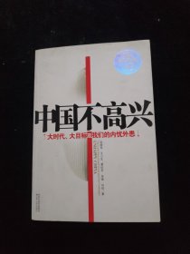 中国不高兴 :大时代大目标及我们的内忧外患.