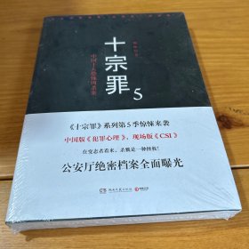 十宗罪5：中国十大凶杀案