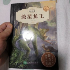 流星龙王（全新升级珍藏版）/动物小说大王沈石溪精读系列