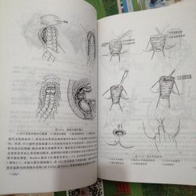 盆底与肛门病学