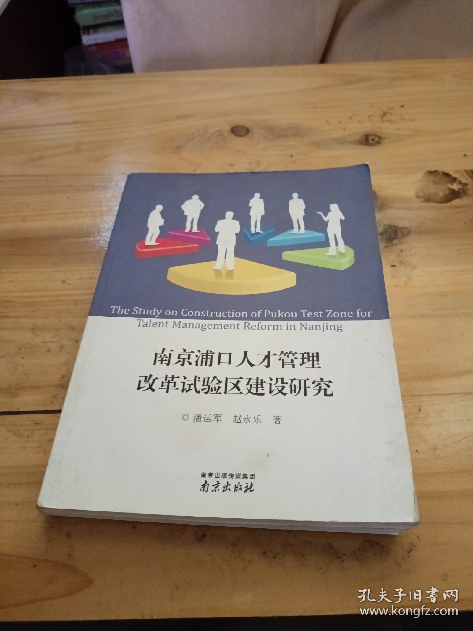 南京浦口人才管理改革试验区建设研究