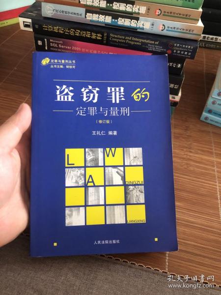 定罪与量刑丛书：盗窃罪的定罪与量刑（修订版）