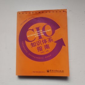 CIO知识体系指南