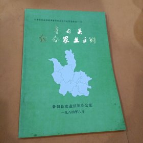 鲁甸县综合农业区划