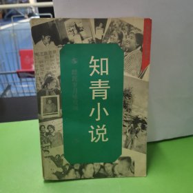 書名知青小說