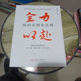 全力以赴 陈向东创业法则