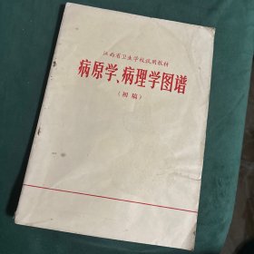 病原学、病理学图谱（初稿）1972年一版一印！