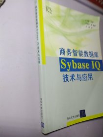 商务智能数据库Sybase IQ技术与应用