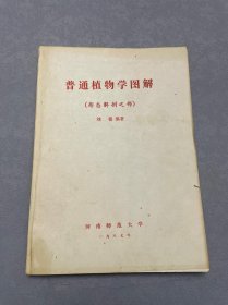 普通植物學圖解—（形態(tài)解剖之部）