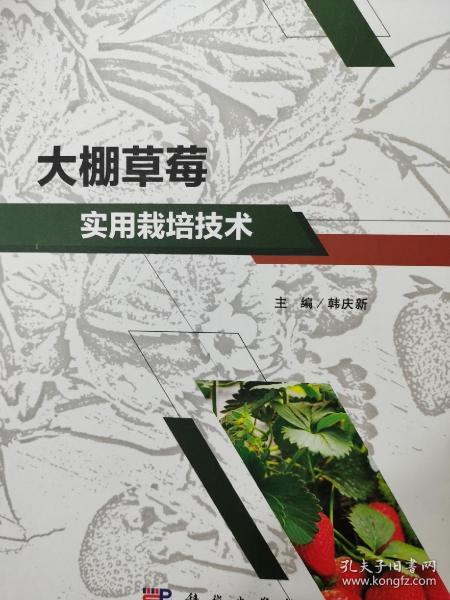 大棚草莓实用栽培技术