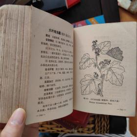 常用中草药手册 人民卫生