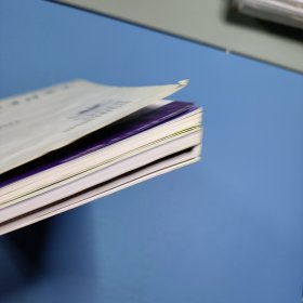 中华创伤骨科杂志2010第1，7，12期