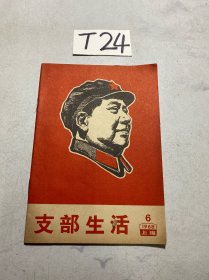 支部生活 上海 1968 6