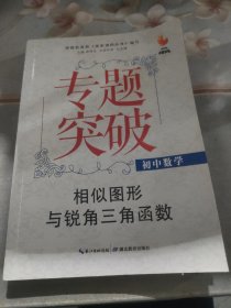 九头鸟专题突破·初中数学：相似图形与锐角三角函数