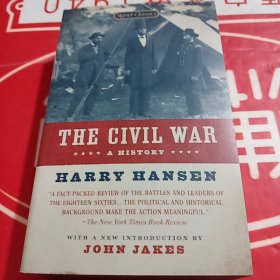 THE CIVIL WAR A HISTORY 内战的历史