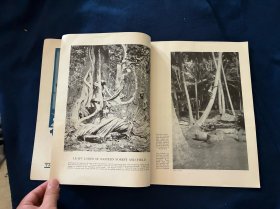 1926年6月亚细亚杂志:内容提要中国广州革命政府北伐战争,宋子文,汪精卫,广州新式妇女;中国道教;中国渔船