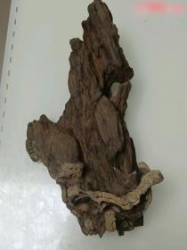 木化石32cm*22cm