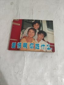 爱情啊，你姓什么？ 连环画