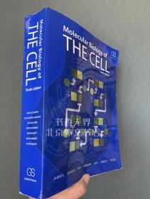 Molecular Biology of the Cell 英文原版 细胞的分子生物学 Bruce，Alberts