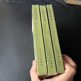 中国文学史 全三册