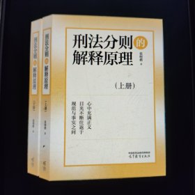 刑法分则的解释原理 上下册