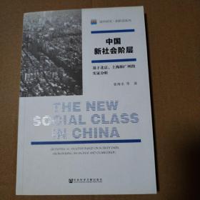 中国新社会阶层:基于北京、上海和广州的实证分析【内页干净不缺页不掉页无勾画】