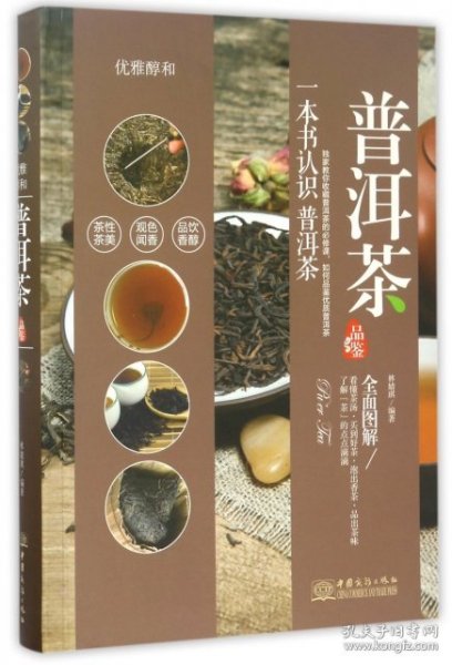 品鉴系列 优雅醇和：普洱茶品鉴