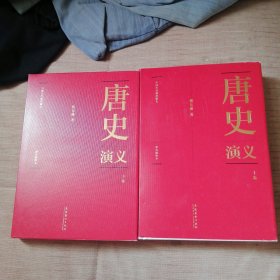 唐史演义（上下册）