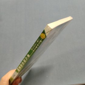 羊儿在云朵里跑