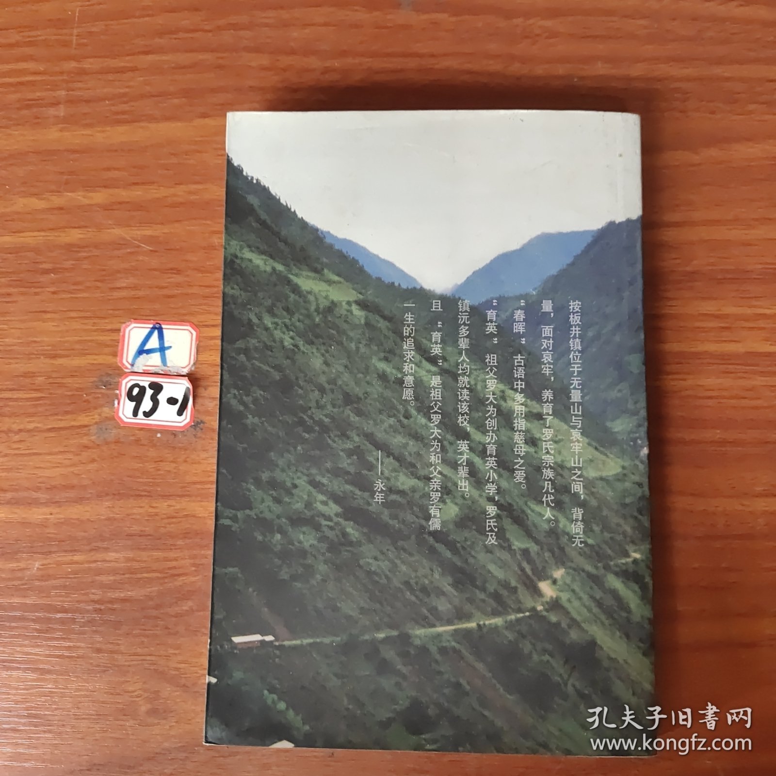 镇罗大为家世集