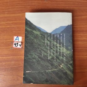 镇罗大为家世集