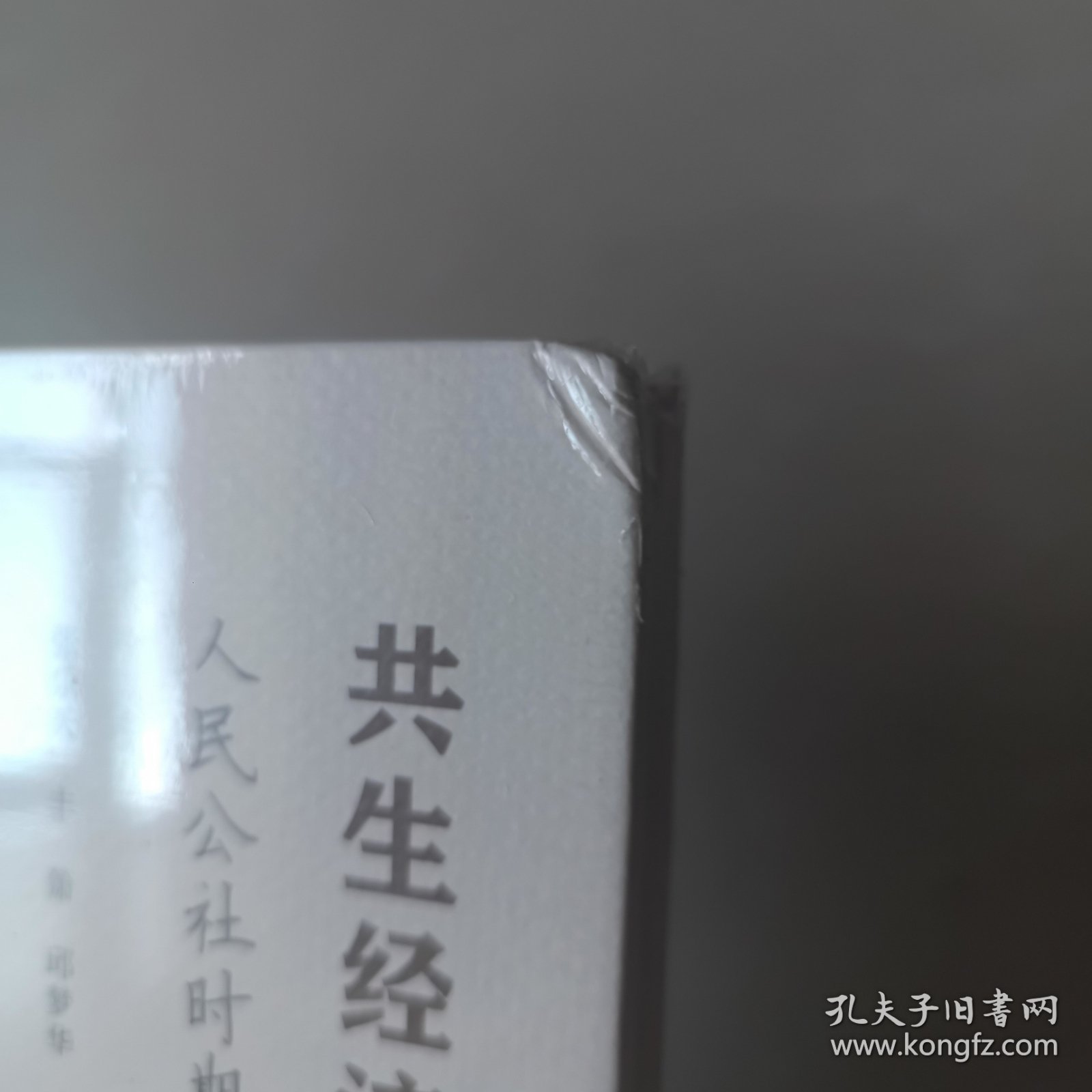 共生经济（1962-1982）人民公社时期的农业经营