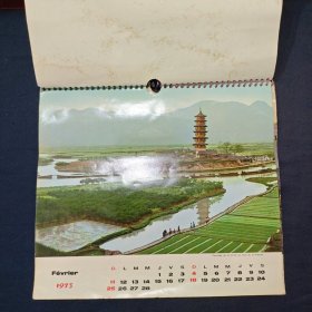 老挂历 1973年挂历 13张完整