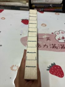 生死守护（茅盾文学奖获得者、“人民作家”张平2020年新作）