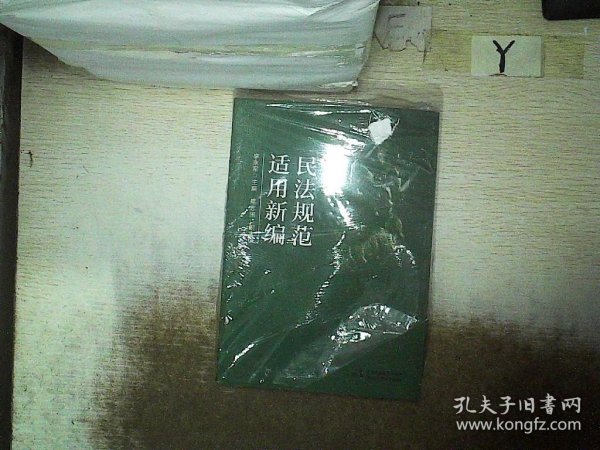 民法规范适用新编