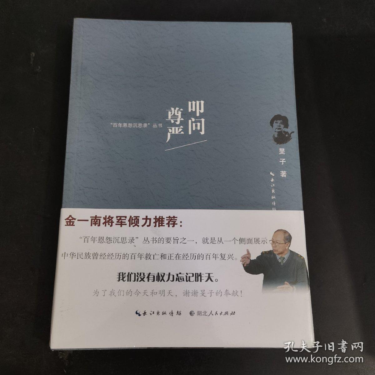 叩问尊严/“百年恩怨沉思录”丛书