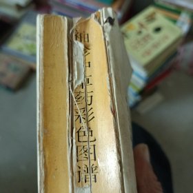 袖珍中草药彩色图谱
