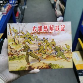 大和岛解放记