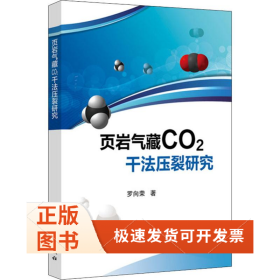 頁巖氣藏CO2干法壓裂研究