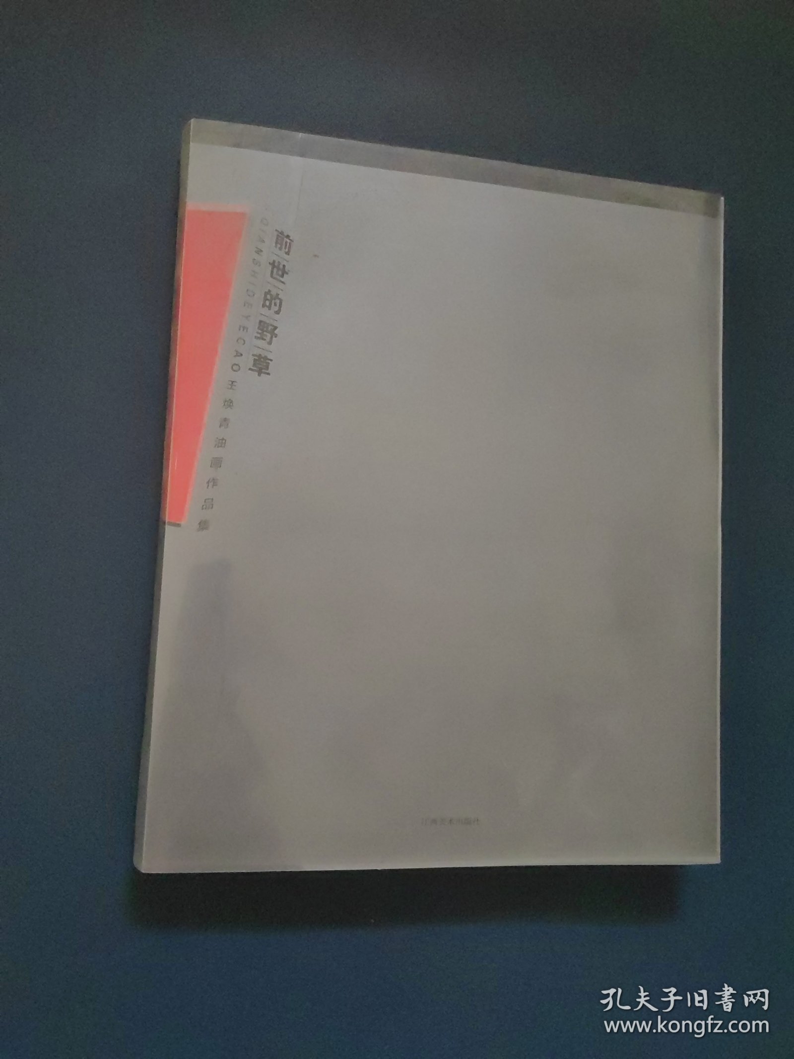 前世的野草 王焕青油画作品集