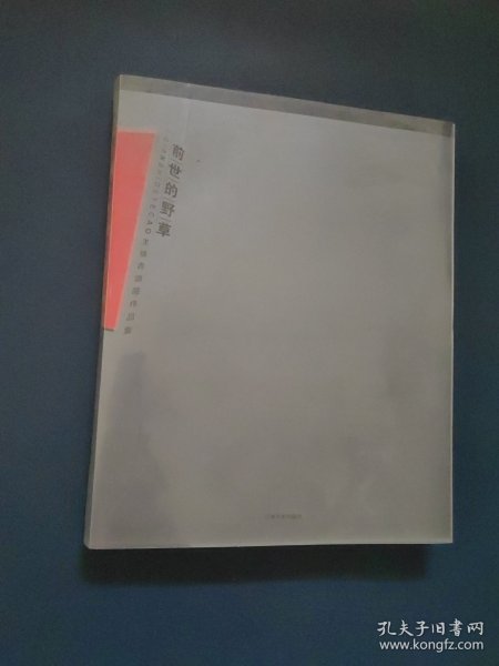前世的野草 王焕青油画作品集