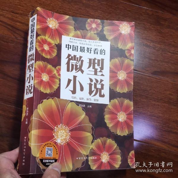 中国最好看的微型小说