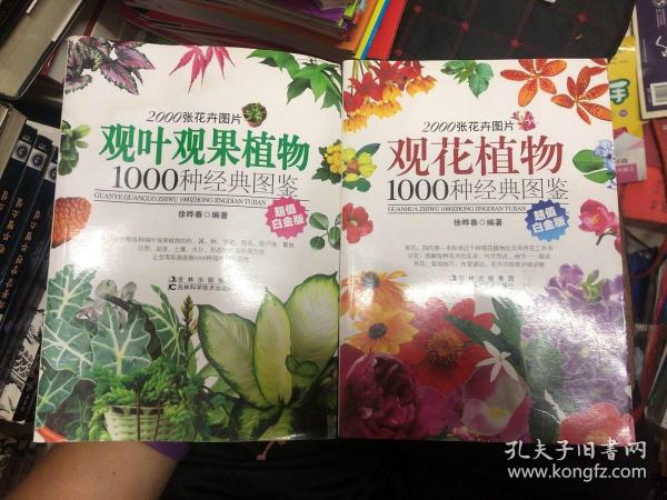 观叶观果植物1000种经典图鉴（超值白金版）