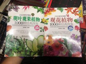 观叶观果植物、观花植物1000种经典图鉴（超值白金版）两本合售