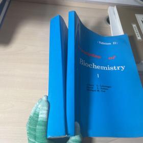 principles of biochemistry（1,2册）2本合售  生物化学原理