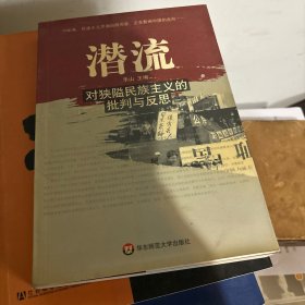 潜流：对狭隘民族主义的批判与反思