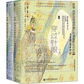 甲骨文丛书·穿过针眼：财富、西罗马帝国的衰亡和基督教会的形成，350～550年（套装全2册）