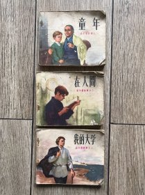 童年，在人间，我的大学